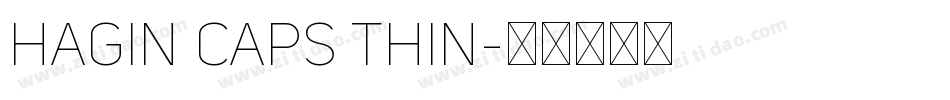 Hagin Caps Thin字体转换